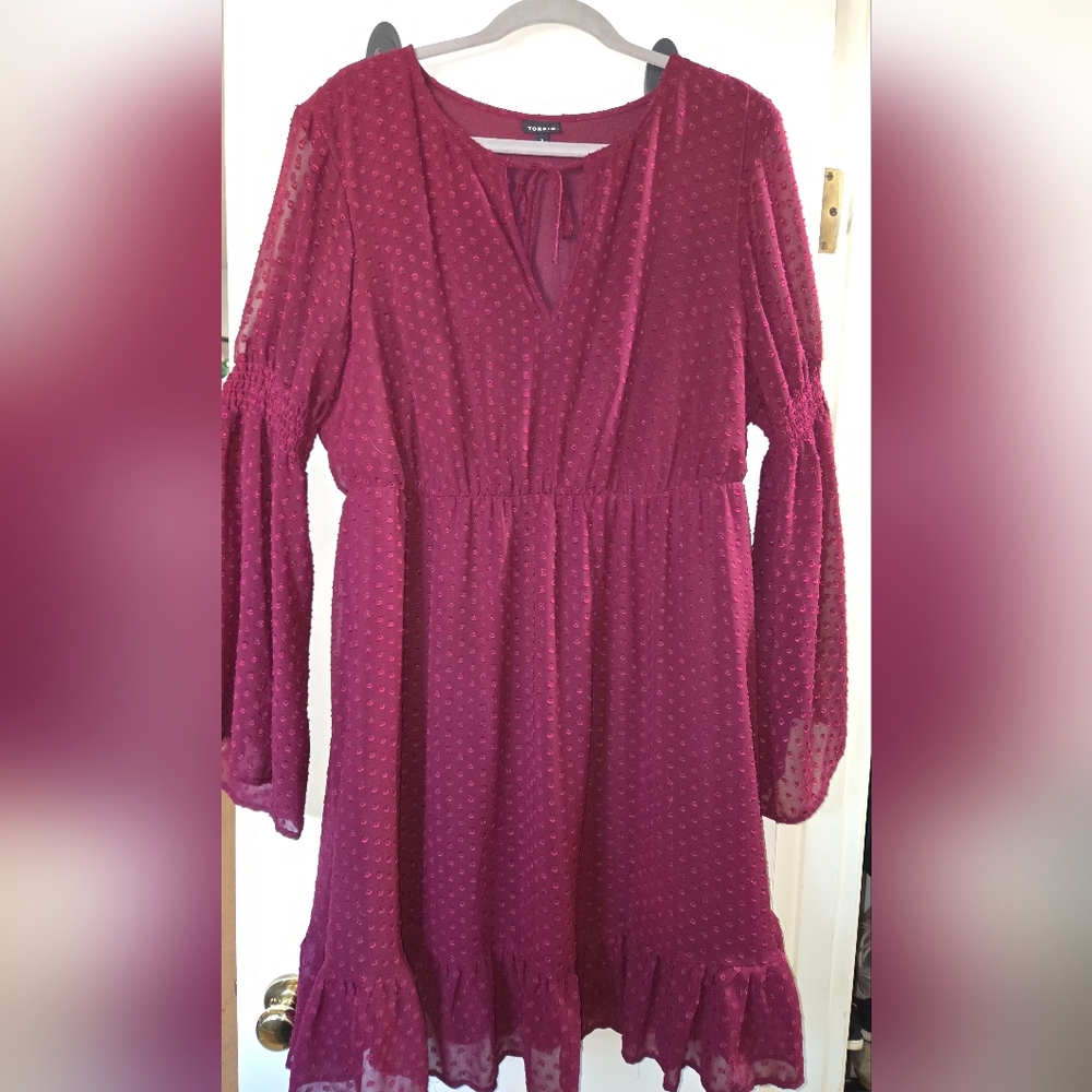 Burgundy Bell Sleeve Dress